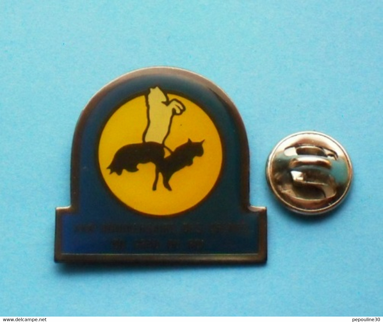 1 PIN'S  //   ** XXXème / 30ème ANNIVERSAIRE / DES ARENES DU GRAU DU ROI / GARD ** . (Saphir) - Bullfight - Corrida