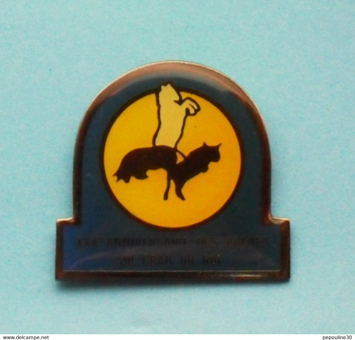 1 PIN'S  //   ** XXXème / 30ème ANNIVERSAIRE / DES ARENES DU GRAU DU ROI / GARD ** . (Saphir) - Bullfight - Corrida