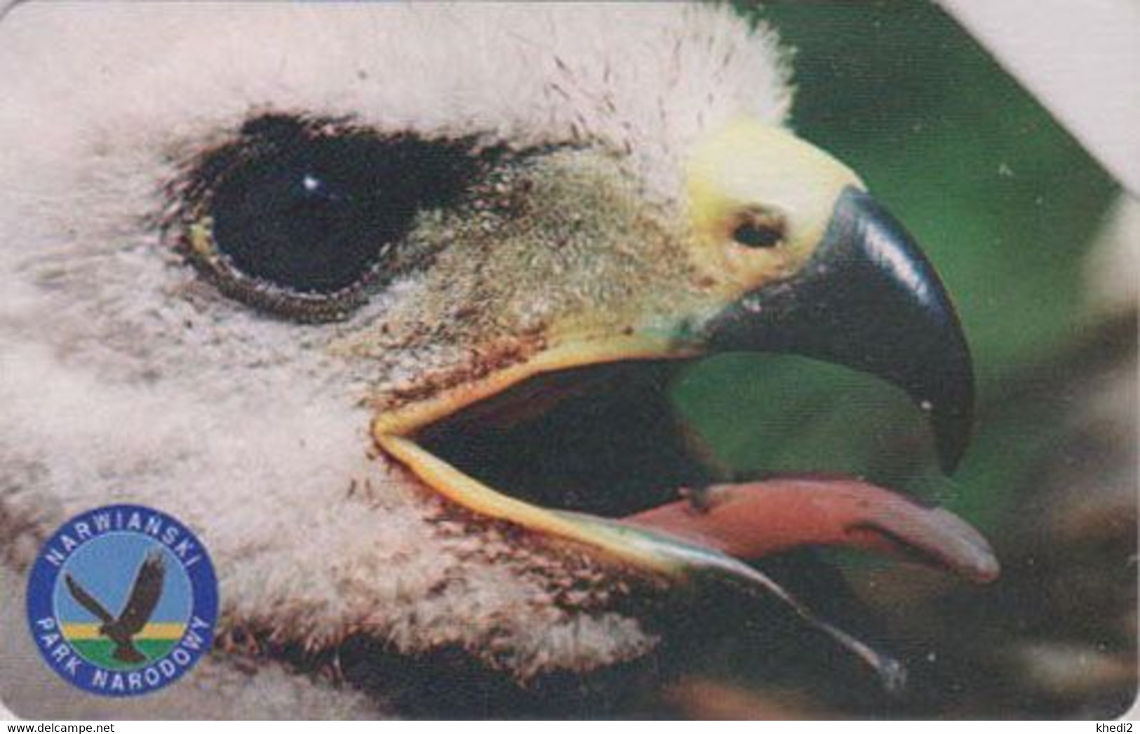 TC POLOGNE - ANIMAL / Série Narwianski Park 2/7 - OISEAU -  BUSE - BUSSARD Raptor Eagle BIRD - POLAND Phonecard - 5278 - Águilas & Aves De Presa