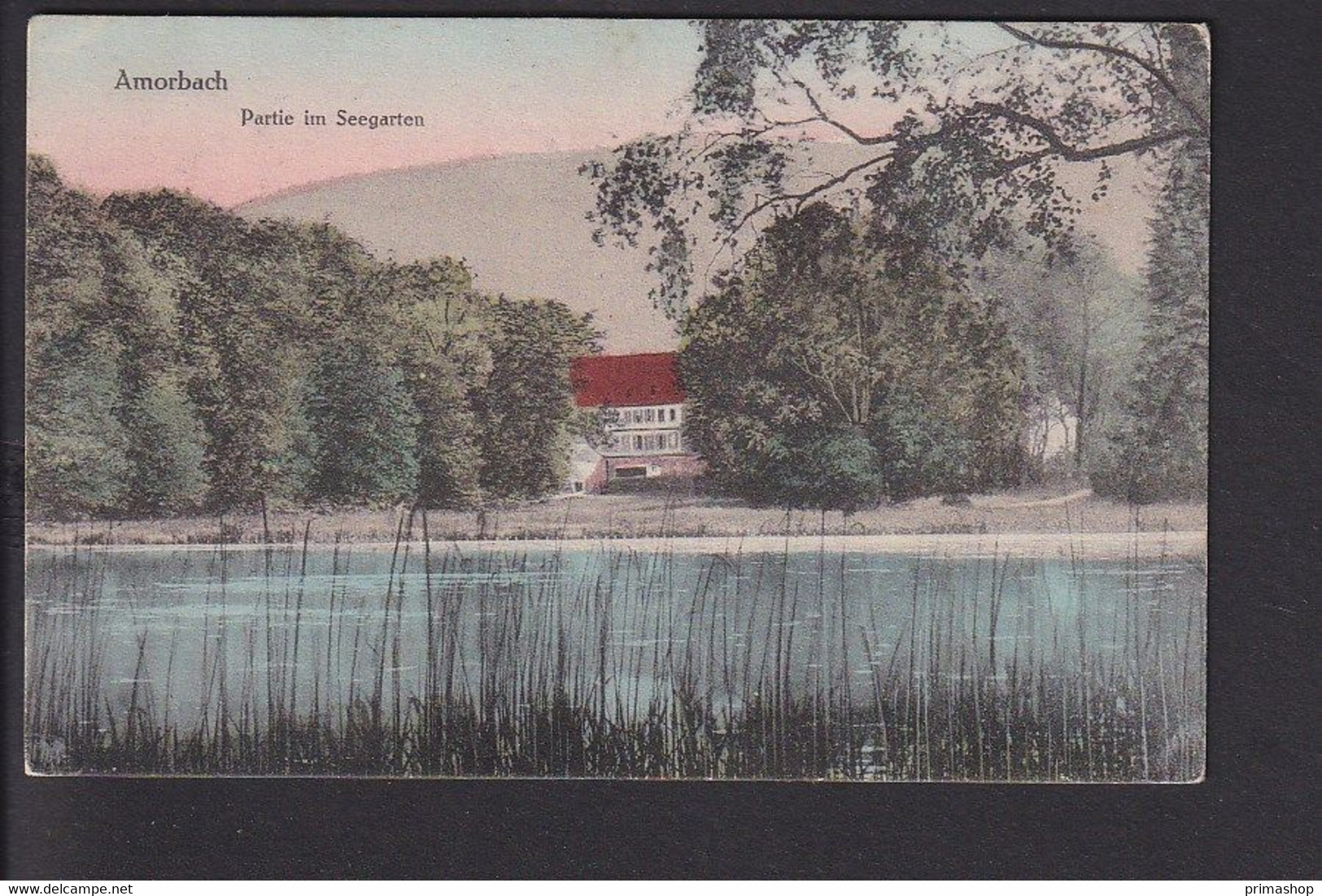 B54 /    Amorbach Seegarten 1918 - Amorbach