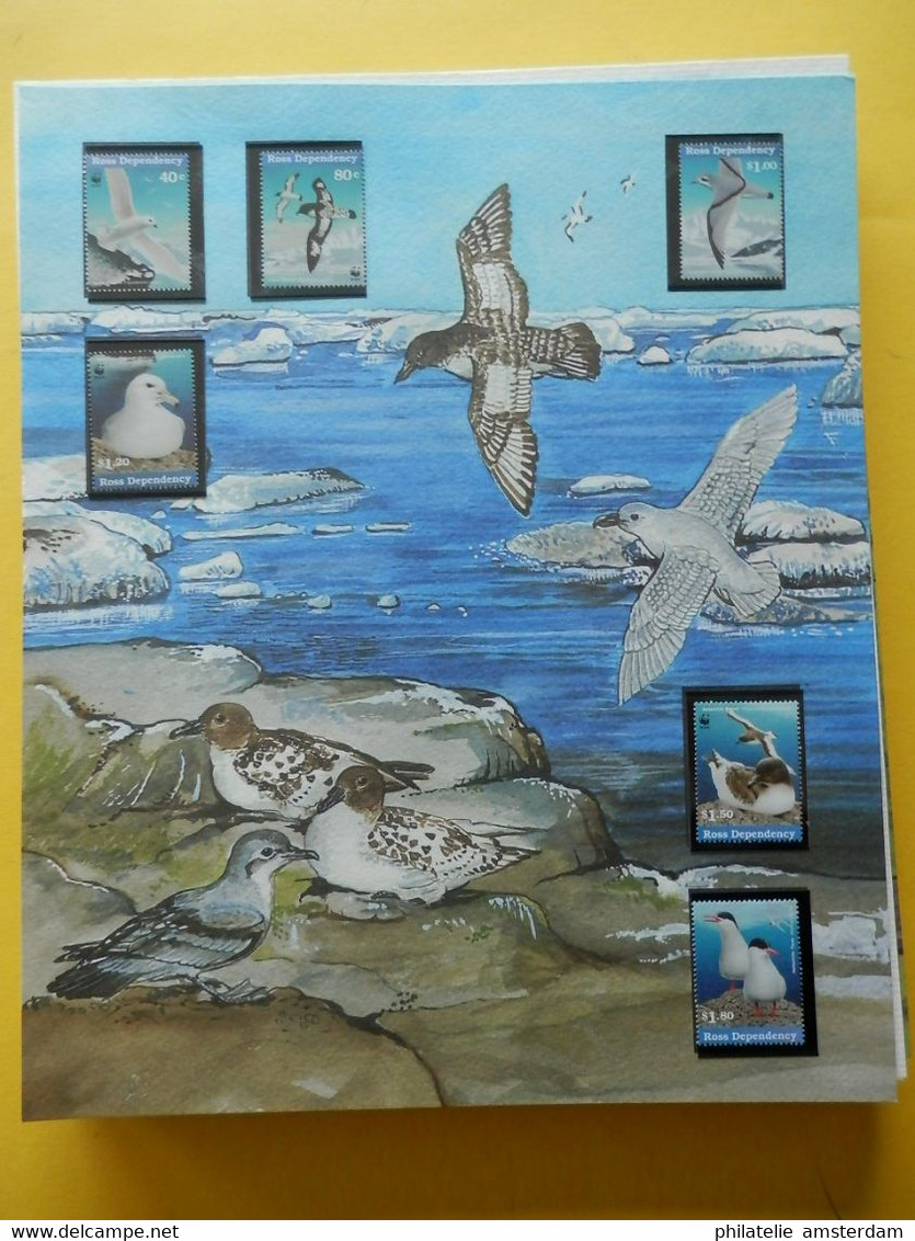 START 1 EURO: THE INTERNATIONAL BIRDLIFE STAMP COLLECTION: MNH Collection In Illustrated Album With Dust Cover - Sammlungen (im Alben)