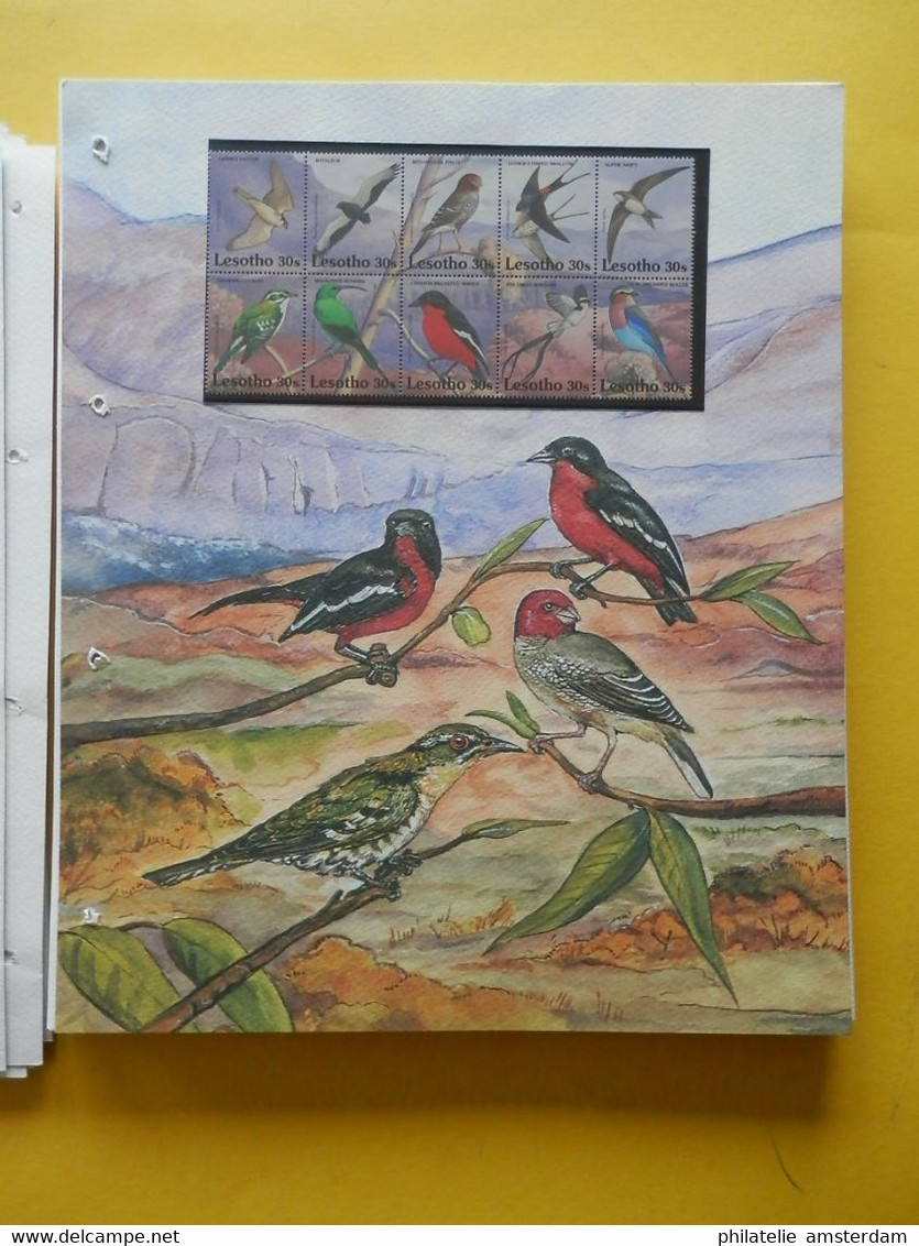 START 1 EURO: THE INTERNATIONAL BIRDLIFE STAMP COLLECTION: MNH collection in illustrated album with dust cover