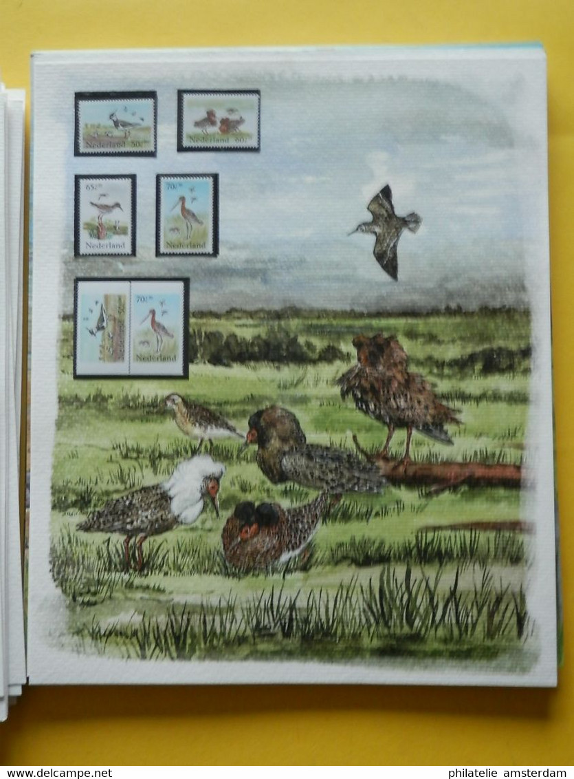 START 1 EURO: THE INTERNATIONAL BIRDLIFE STAMP COLLECTION: MNH collection in illustrated album with dust cover