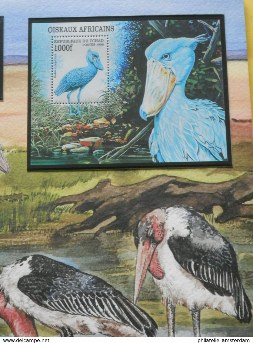 START 1 EURO: THE INTERNATIONAL BIRDLIFE STAMP COLLECTION: MNH collection in illustrated album with dust cover