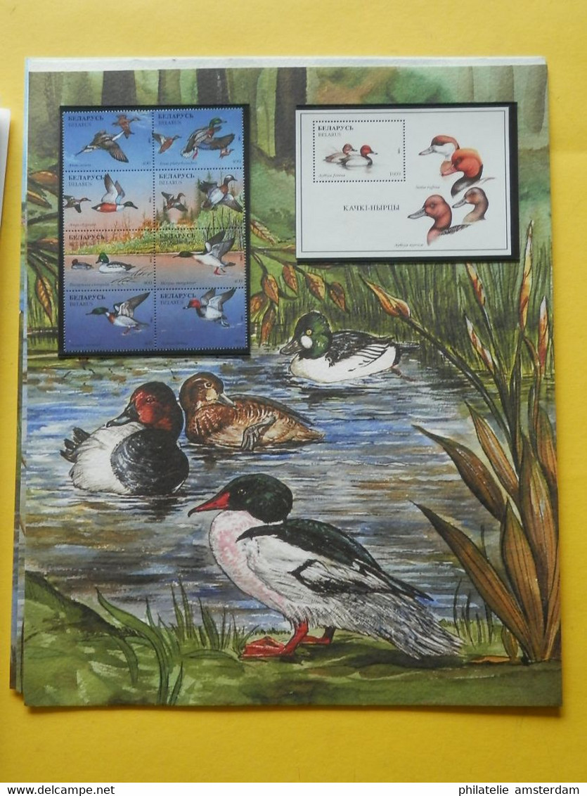 START 1 EURO: THE INTERNATIONAL BIRDLIFE STAMP COLLECTION: MNH collection in illustrated album with dust cover