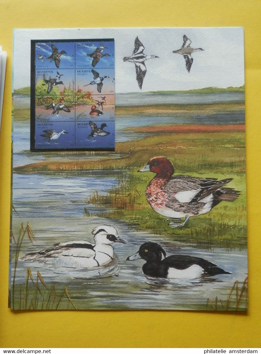 START 1 EURO: THE INTERNATIONAL BIRDLIFE STAMP COLLECTION: MNH collection in illustrated album with dust cover