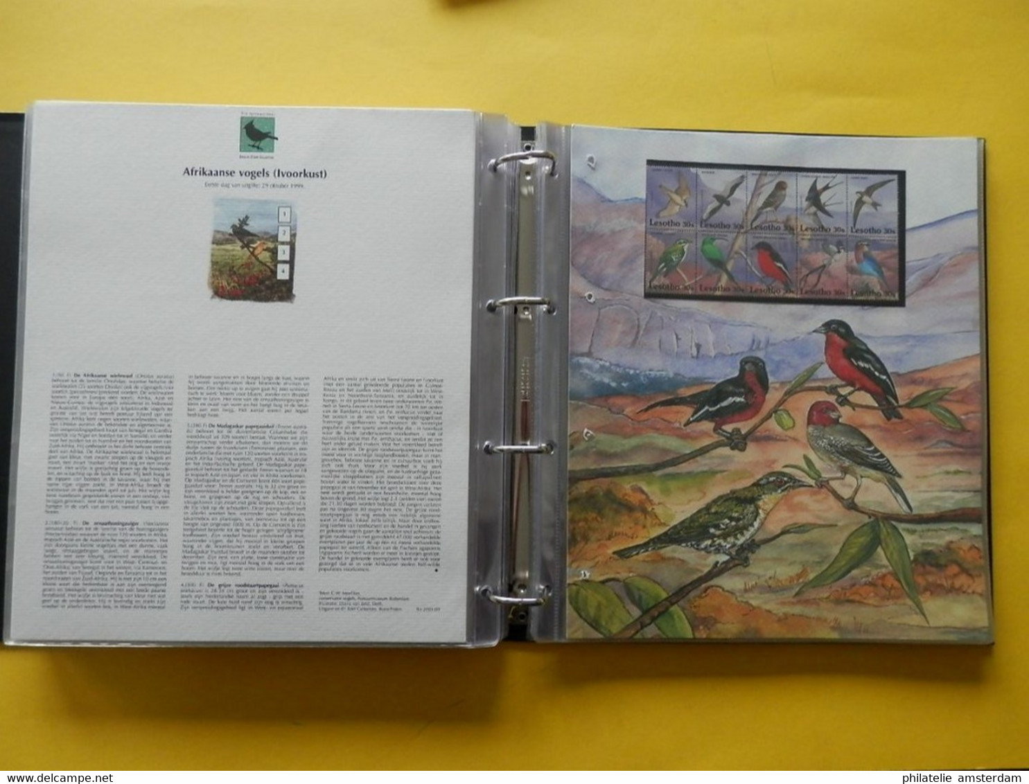 START 1 EURO: THE INTERNATIONAL BIRDLIFE STAMP COLLECTION: MNH collection in illustrated album with dust cover