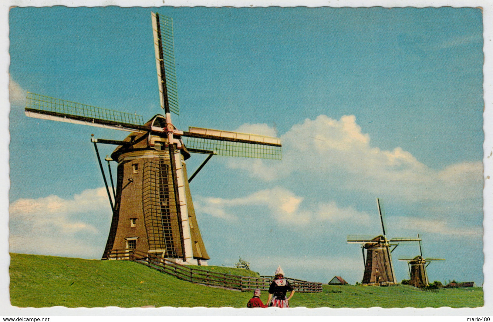 C.P.PICCOLA   HOLLANDSE  MOLEN     1672- EN 1903        (VIAGGIATA) - Leidschendam