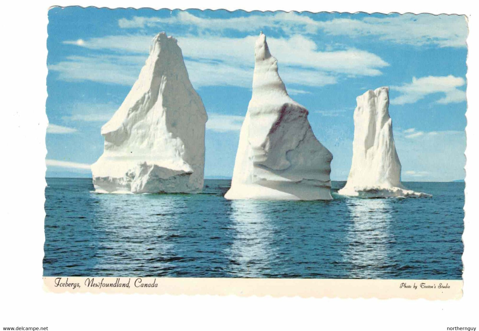 ST. JOHN'S, Newfoundland, Canada, Icebergs, Old 4X6 Chrome Postcard - St. John's