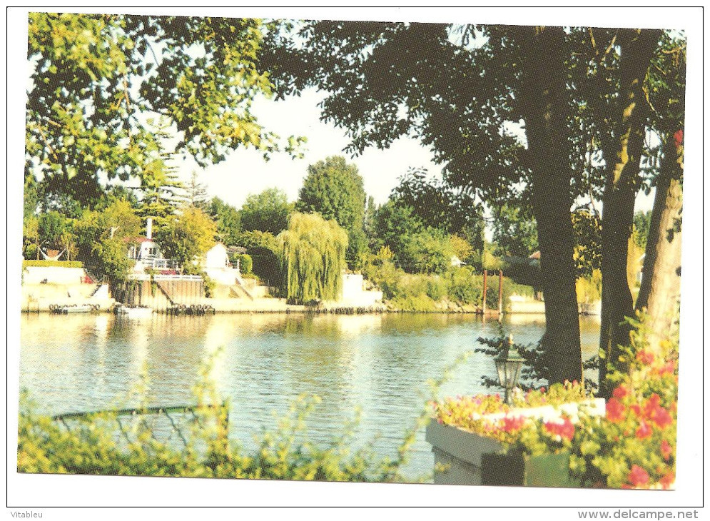 Carte CPSM Médan - Les Berges De Seine - Medan