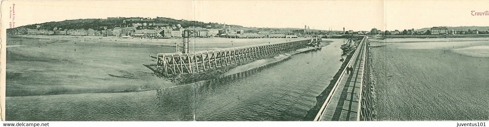 CPA Panoramique-Trouville   L28 - Trouville