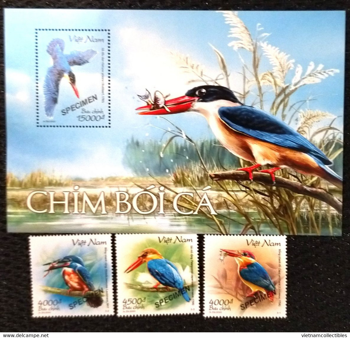 Vietnam Viet Nam MNH Specimen Stamps & Souvenir Sheet Issued On 14th Of Nov 2020 : Kingfisher Bird / Birds (Ms1135) - Vietnam