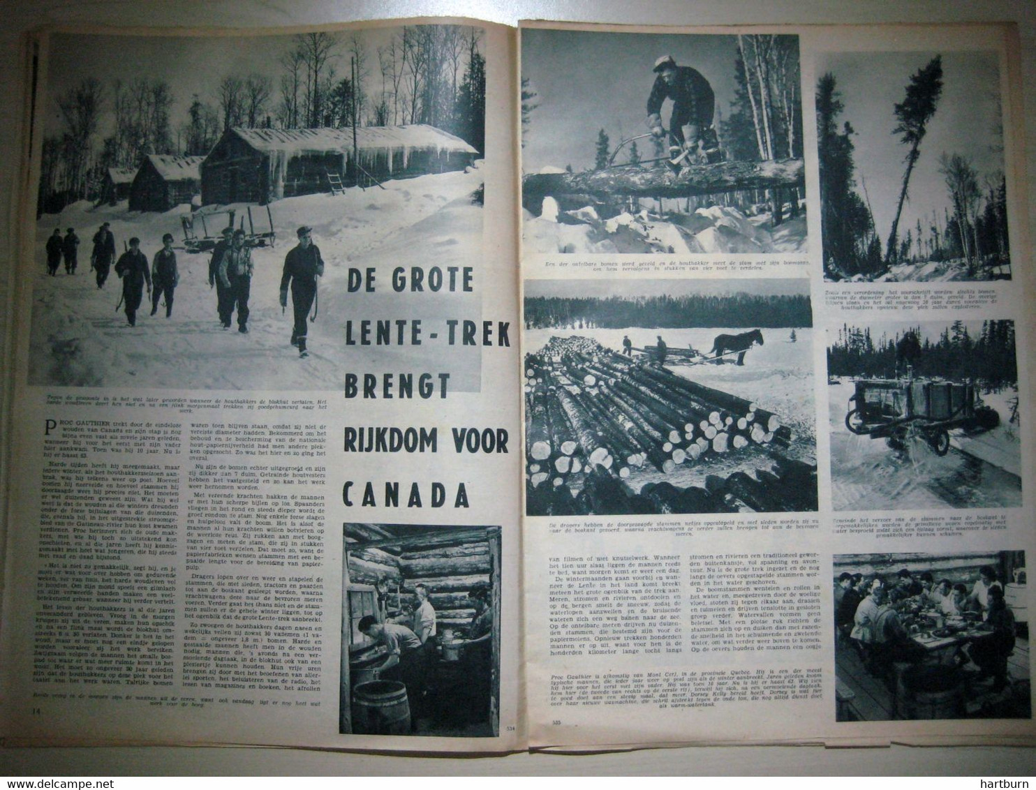 Lentetrek In De Bossen Van Canada (07.04.1955) - Autres & Non Classés