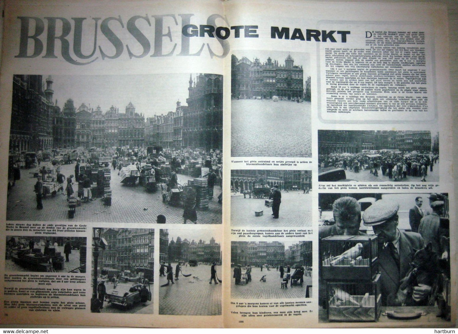 De Grote Markt In Brussel (22.09.1955) Bruxelles - Other & Unclassified