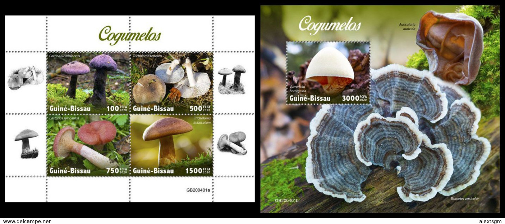 GUINEA BISSAU 2020 - Mushrooms, M/S + S/S. Official Issue [GB200401] - Champignons