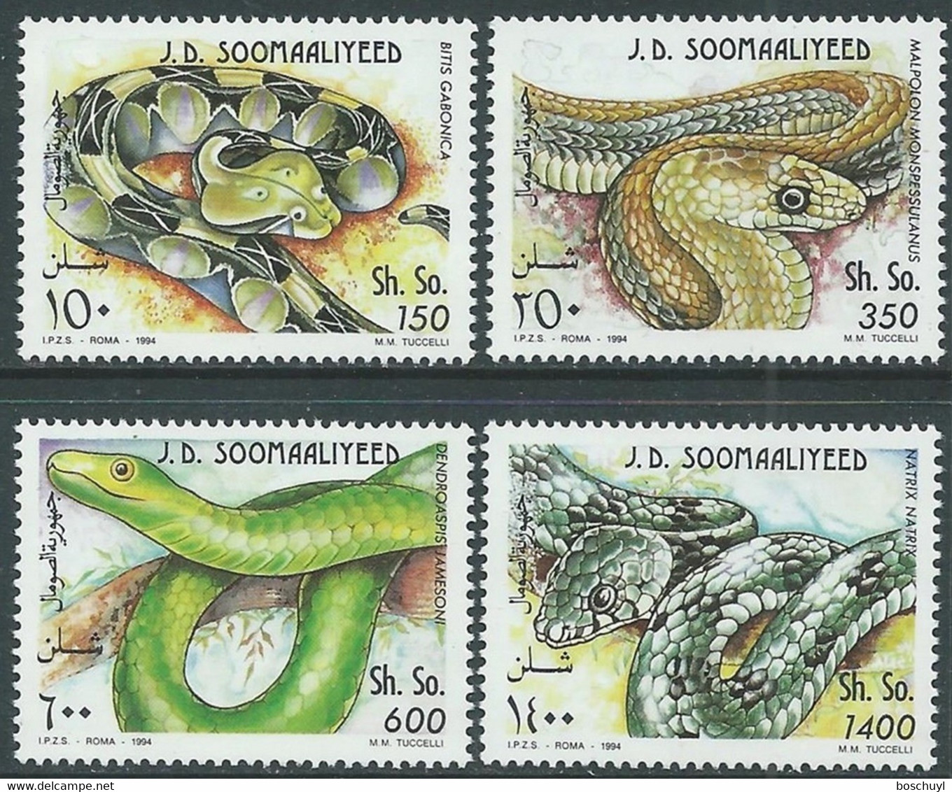 Somalia, 1994, Snakes, Reptiles, Animals, MNH, Michel 528-531 - Somalia (1960-...)