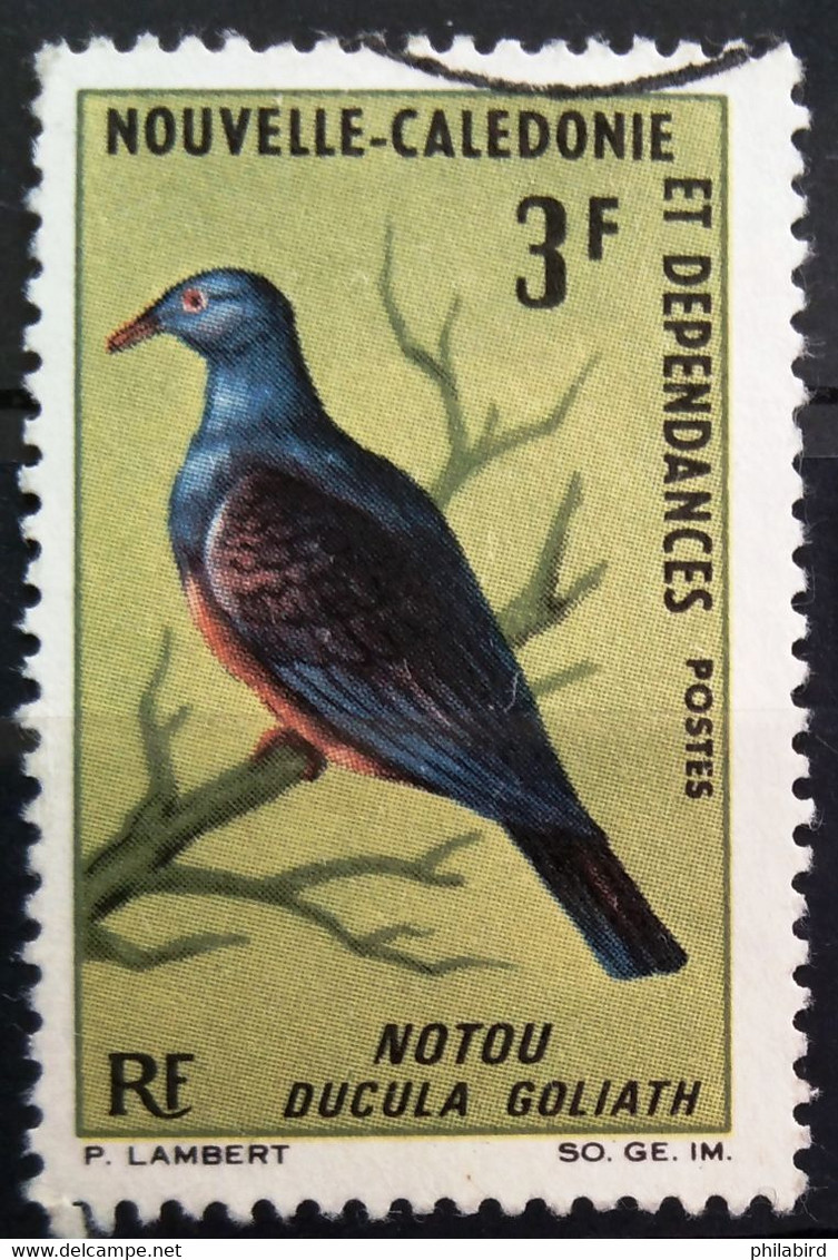 NOUVELLE CALEDONIE                         N° 331                           OBLITERE - Oblitérés