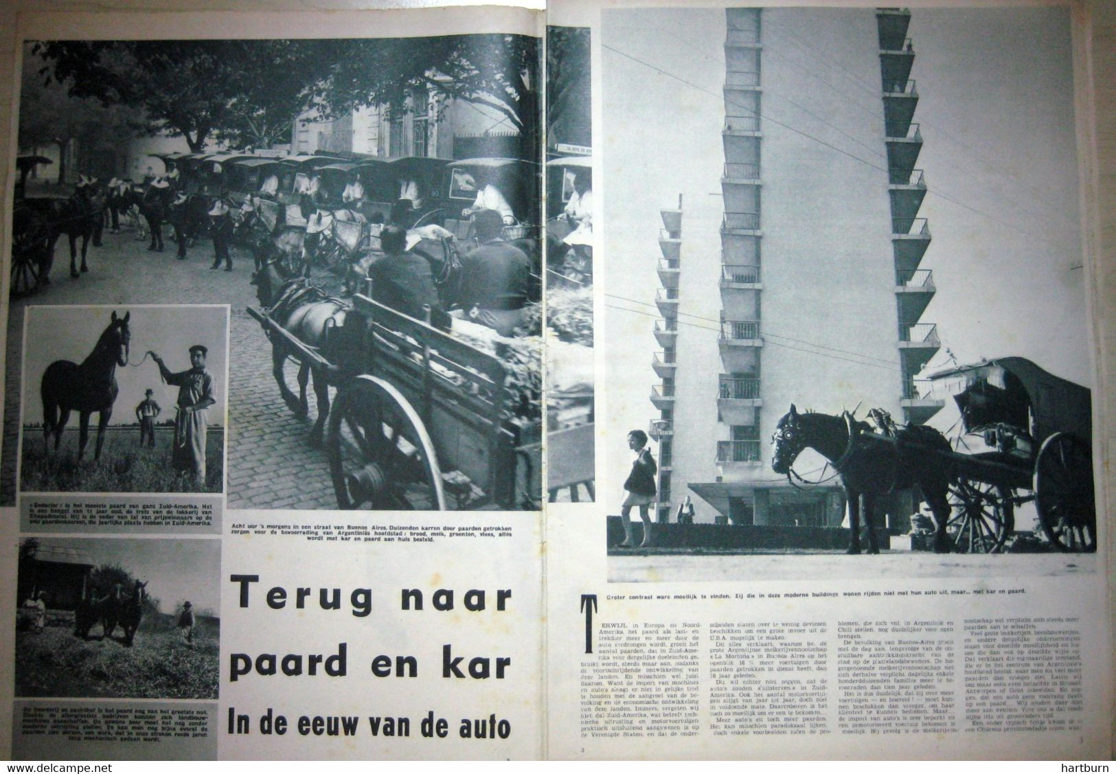 Terug Naar Paard En Kar. (06.01.1955) - Otros & Sin Clasificación