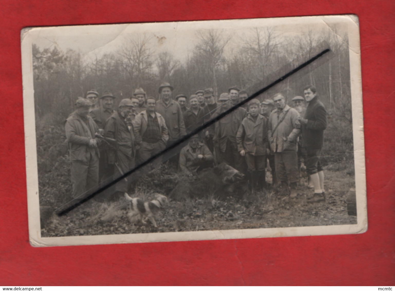 Photo Abîmée : Chasse -  Chasseur , Chasseurs - Sanglier - Caza