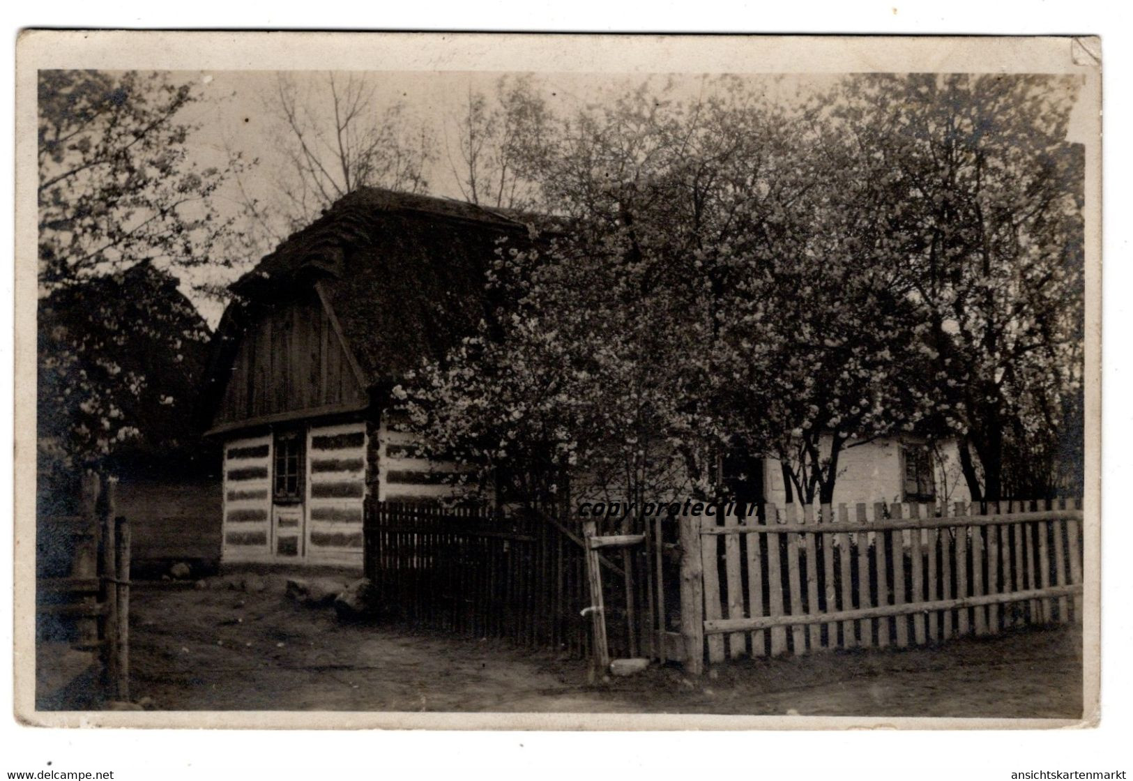 Haus, Beschrieben Gluchow, Feldpost 9. Kavallerie Division, Foto Postkarte 1915 - Poland