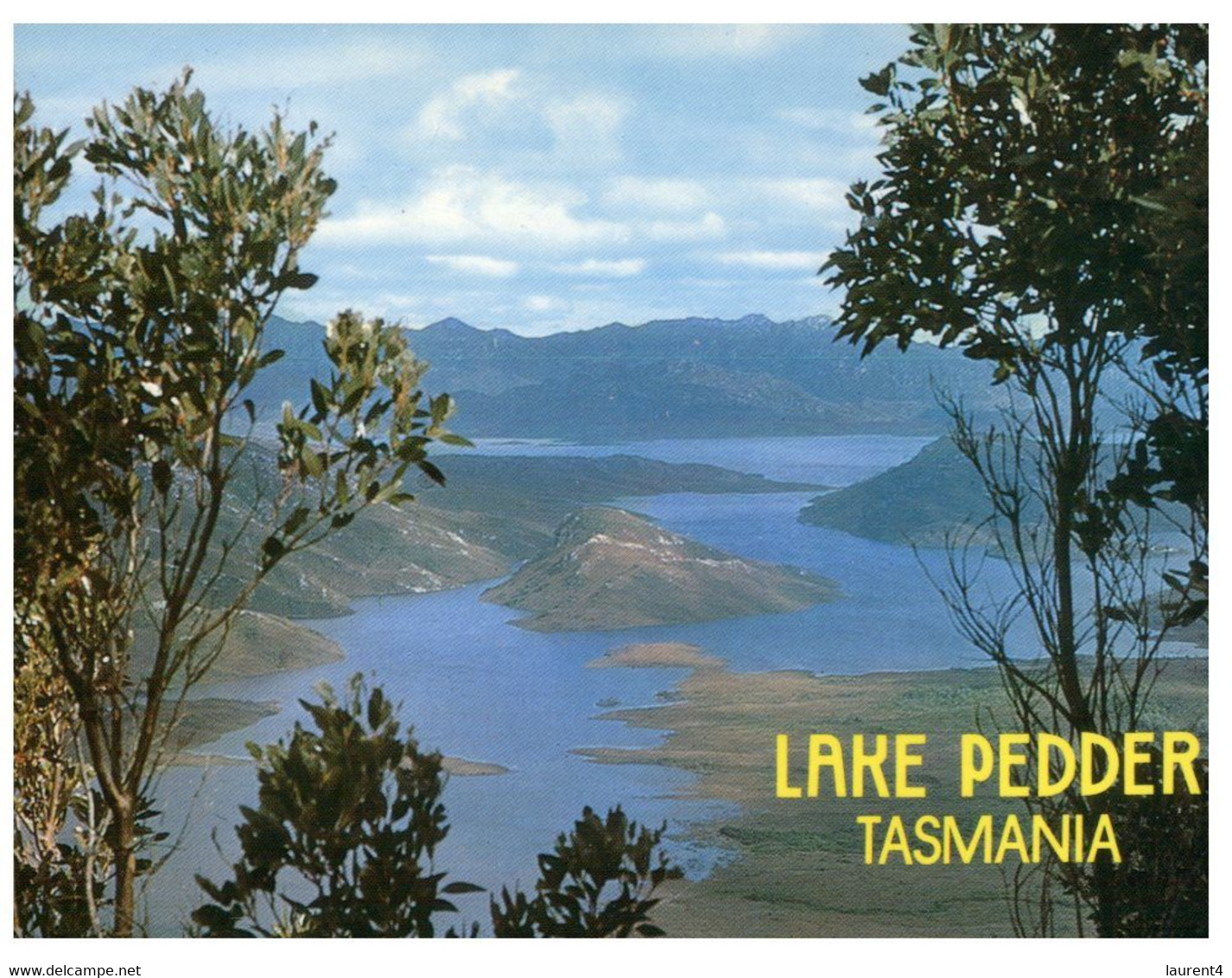 (W11) Australia - TAS - Lake Pedder (with Stamp) Posted In 1984 - Wilderness