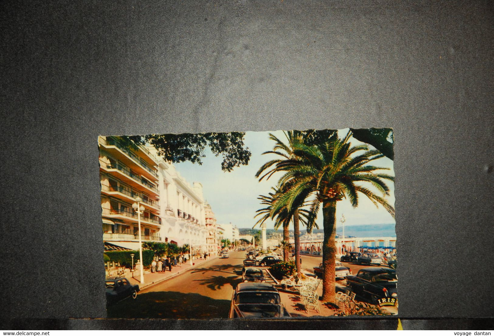 CP,  06, NICE, Promenade Des Anglais, - Life In The Old Town (Vieux Nice)