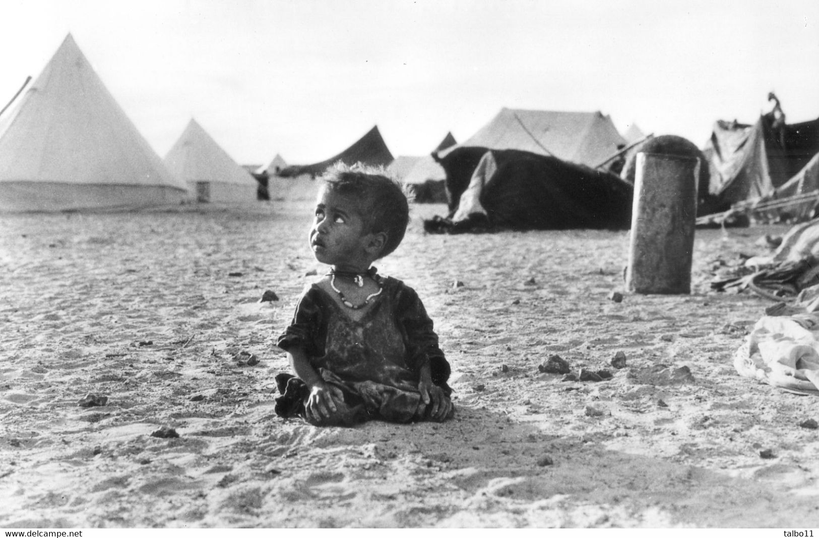 Sahara Occidental - 1976 - Campement  Du Front Polisario - Western Sahara