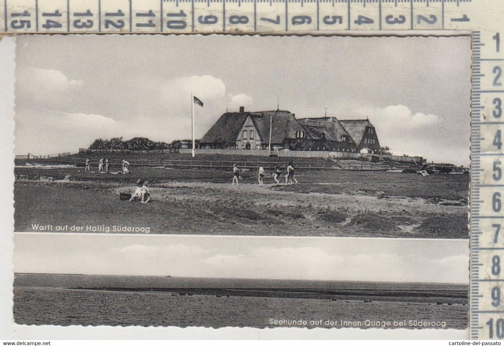 WART AUF HALLIG SUDEROOG 1957 - Halligen