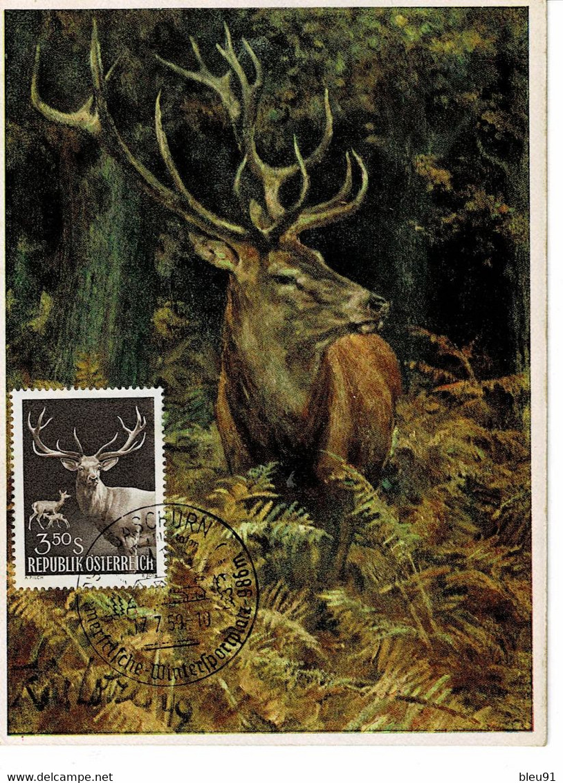 CARTE MAXIMUM AUTRICHE 1959 CERF DEER HIRSCH - Maximum Cards