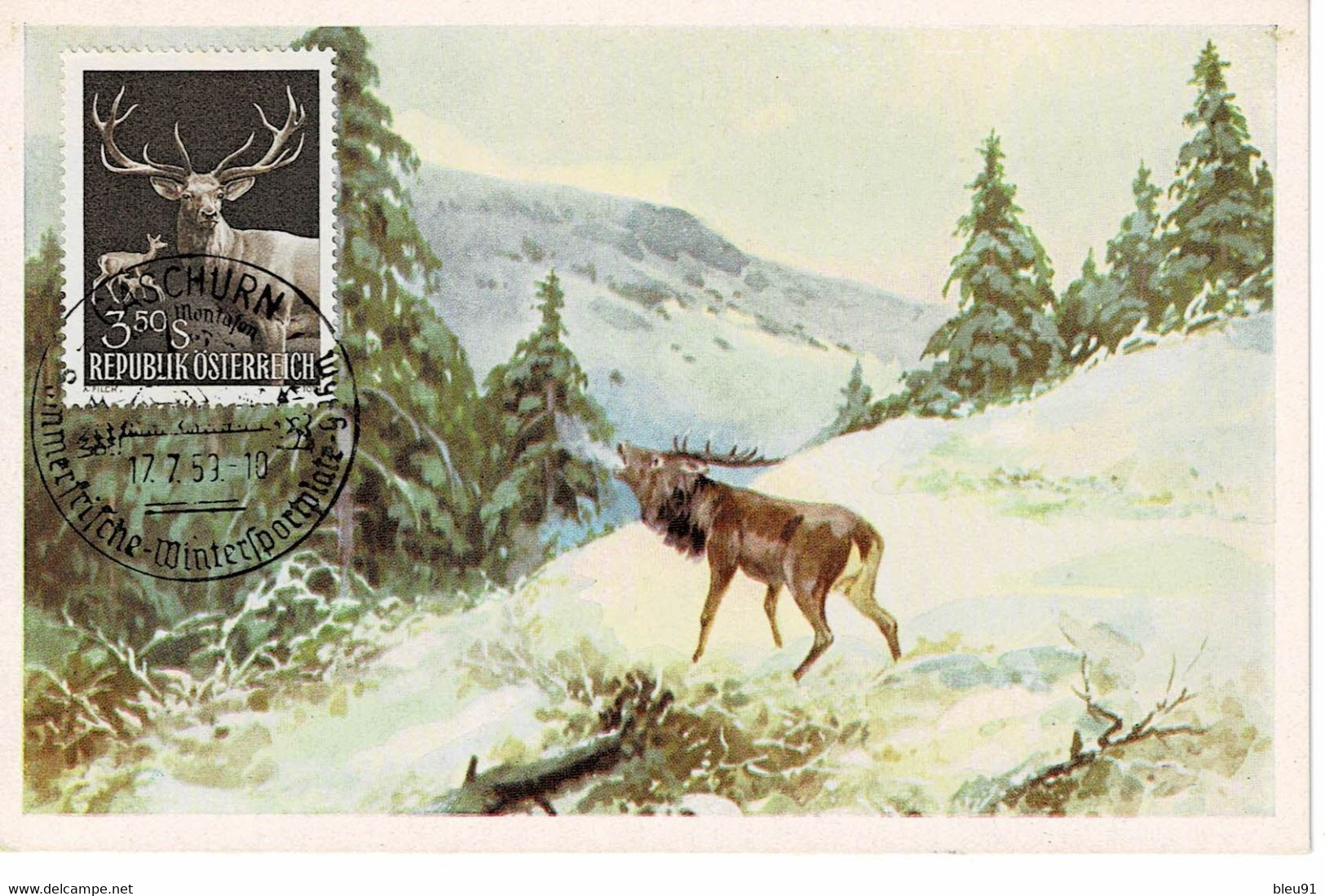 CARTE MAXIMUM AUTRICHE 1959 CERF DEER HIRSCH - Maximum Cards