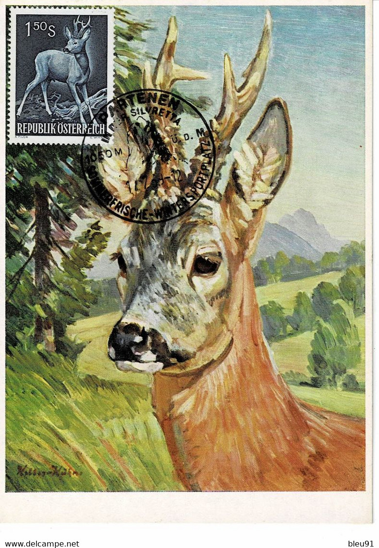 CARTE MAXIMUM AUTRICHE 1959 CHEVREUIL ROE DEER REH - Cartes-Maximum (CM)