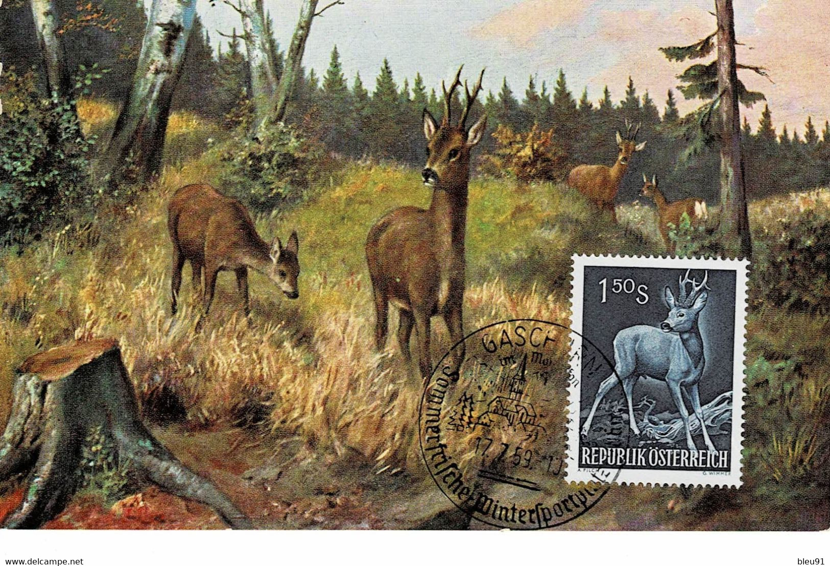 CARTE MAXIMUM AUTRICHE 1959 CHEVREUIL ROE DEER REH - Cartes-Maximum (CM)