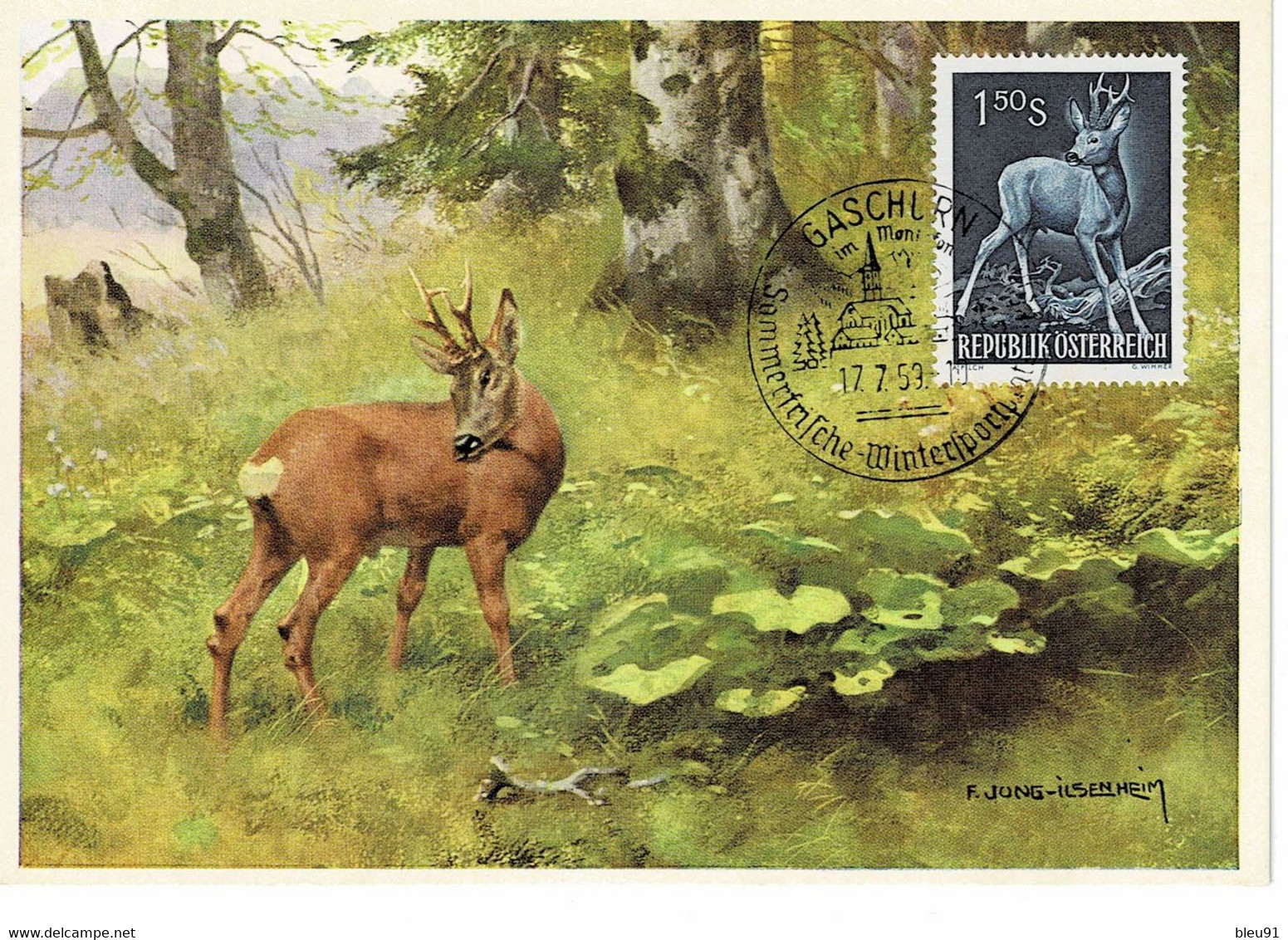 CARTE MAXIMUM AUTRICHE 1959 CHEVREUIL ROE DEER REH - Cartes-Maximum (CM)