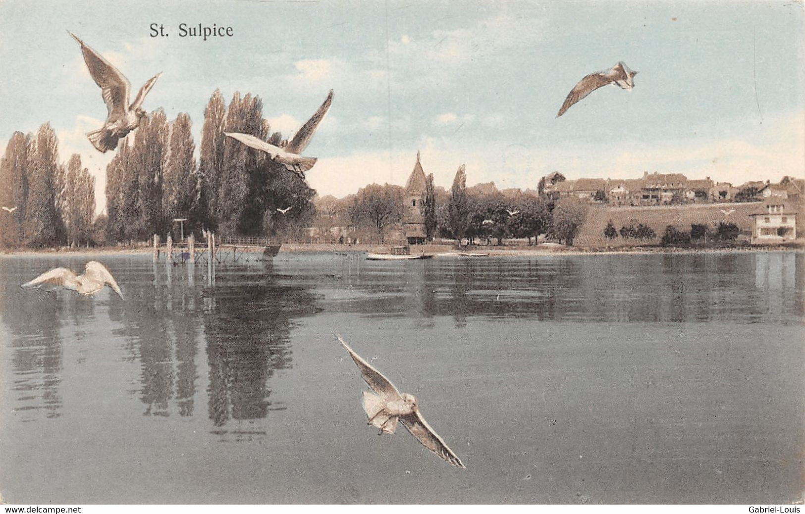 St. Sulpice - Mouettes - Saint-Sulpice