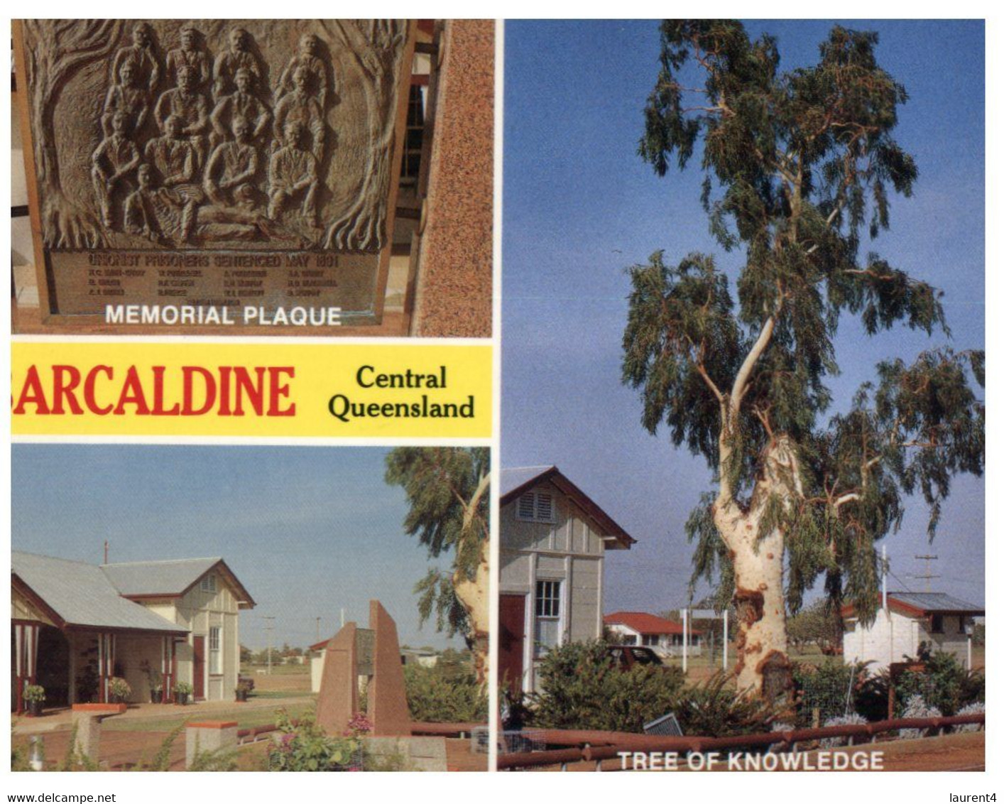 (W 15) Australia - QLD - Barcaldine Wih Tree Of Knowledge - Far North Queensland