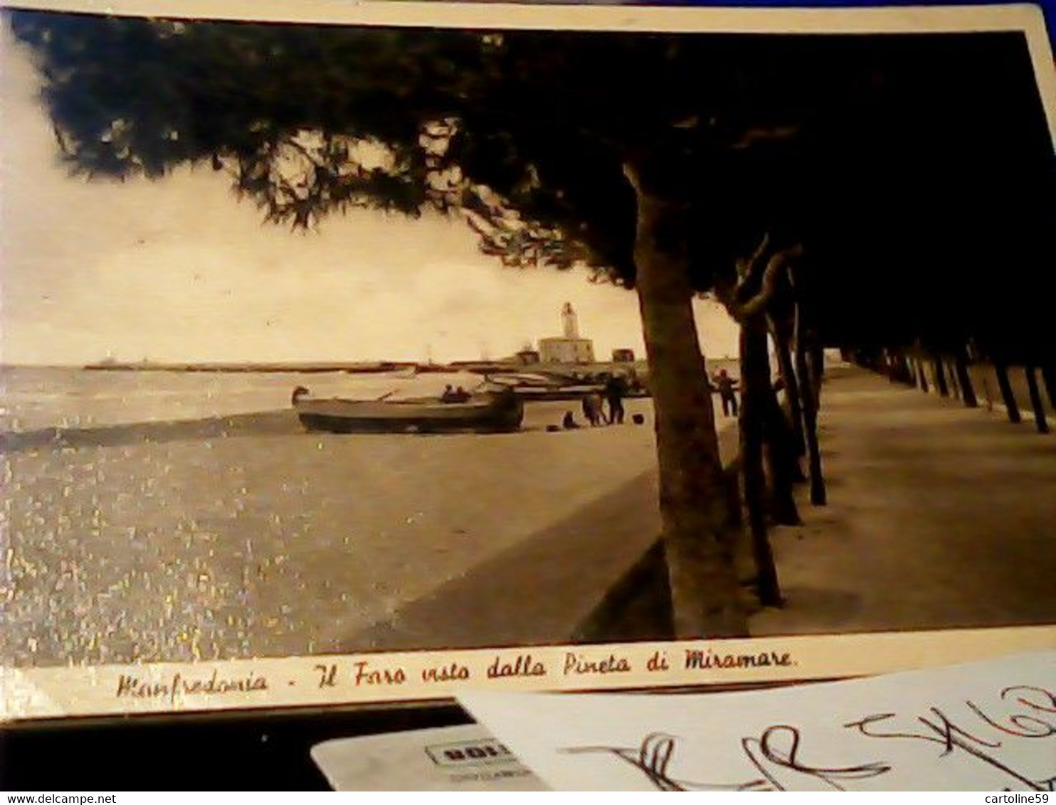 MANFREDONIA IL FARO DALLA PINETA DI MIRAMARE VIALE VB1929  HT867 - Manfredonia