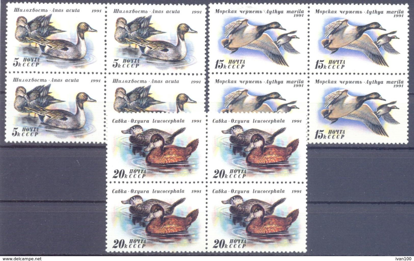 1991. USSR/Russia, Ducks, Issue III, 4 Sets In Blocks Of 4v,  Mint/** - Nuevos