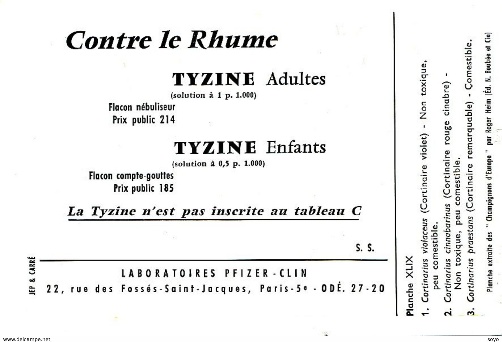 Champignons Cortinaire Pub Pharmacie Tyzine   Laboratoire Clin Pfizer   . Mushrooms . - Champignons