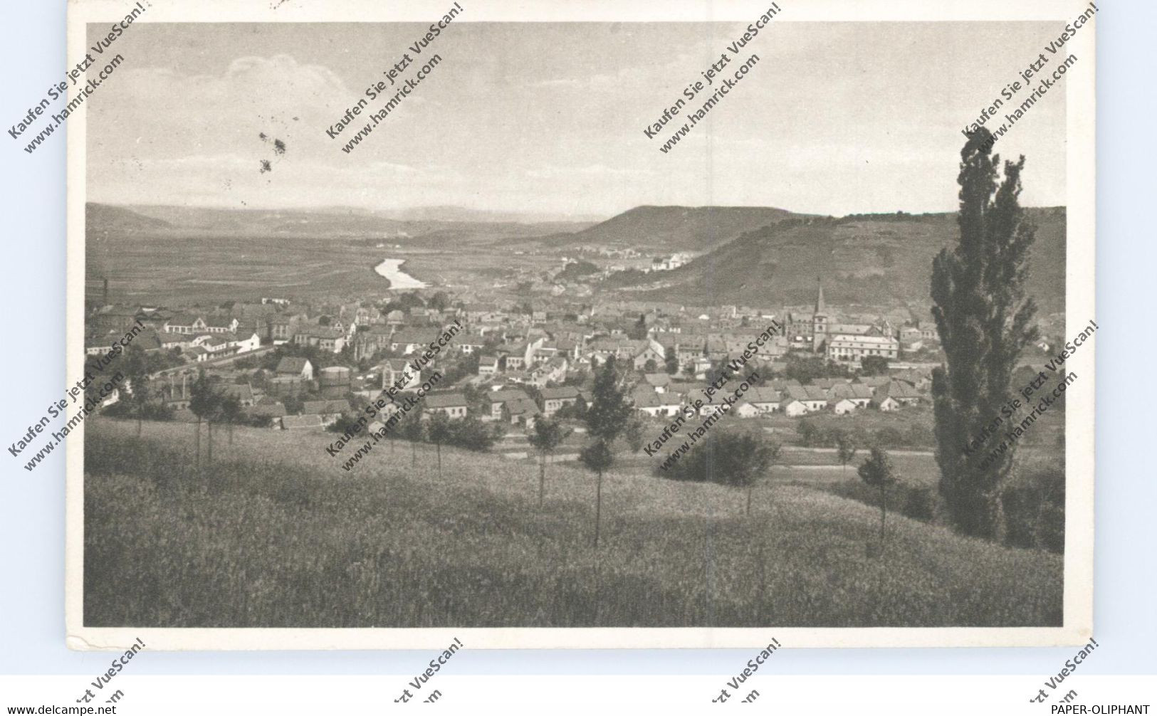 6640 MERZIG, Gesamtansicht, 1919 - Kreis Merzig-Wadern