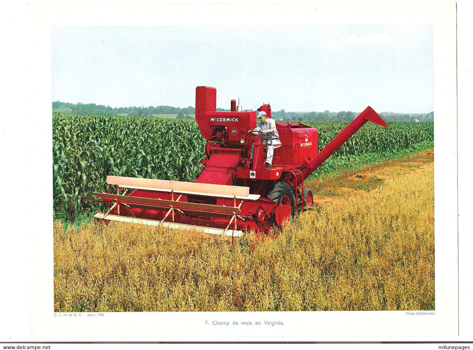 Moissonneuse Batteuse Mac Cormick Dans Un Champ De Maïs En Virginie En 1956 Virginia USA - Tractors