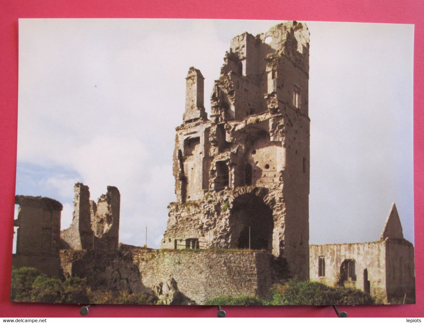 Visuel Très Peu Courant - Irlande - Askeaton - Desmond Castle - Limerick - Parfait état - R/verso - Limerick