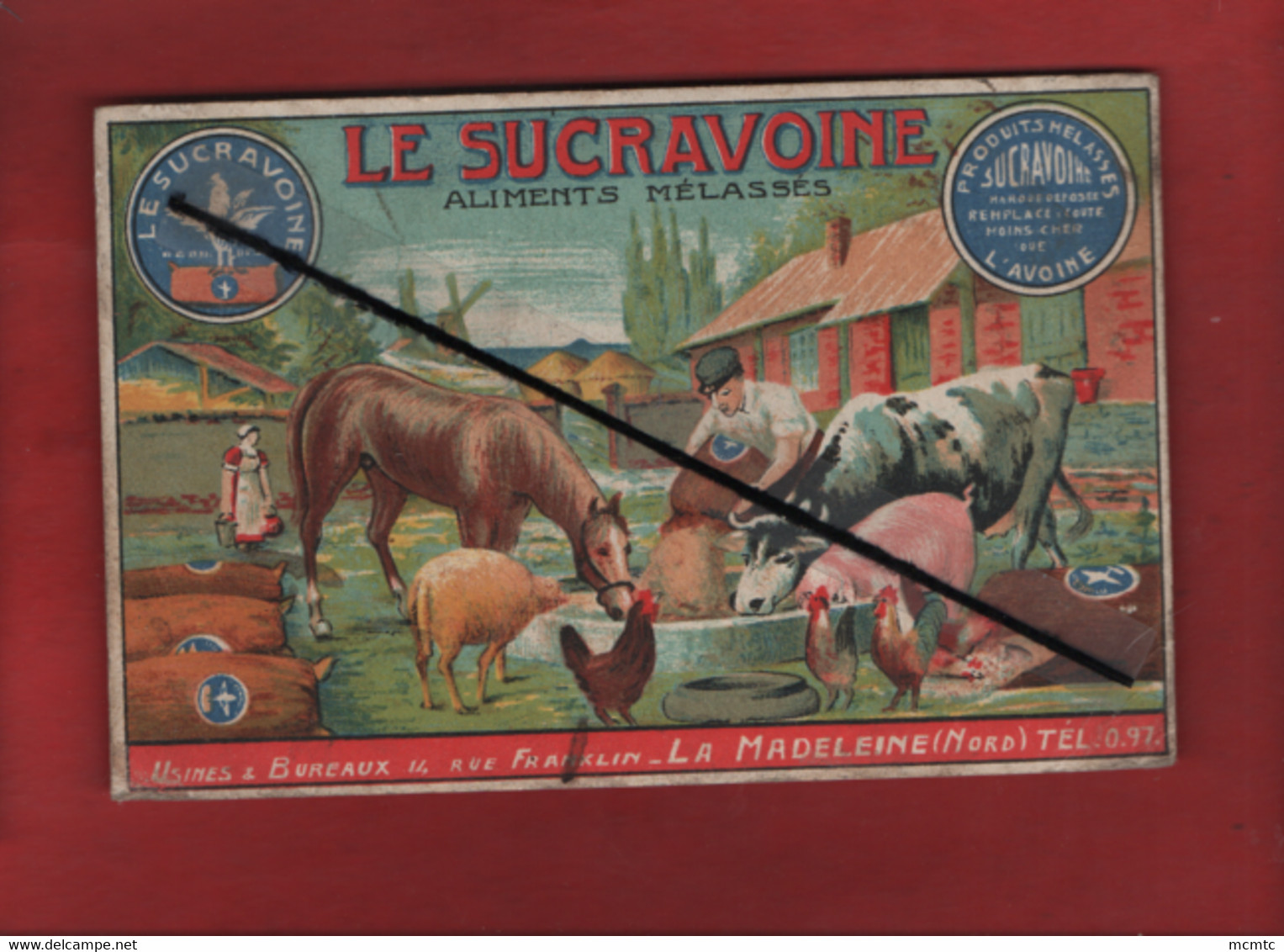 Carte -  Le Sucravoine - Aliments Mélassée - Usines Et Bureaux - La Madeleine -( Nord) Cheval,vaches,porc Cochon,moutons - Crías