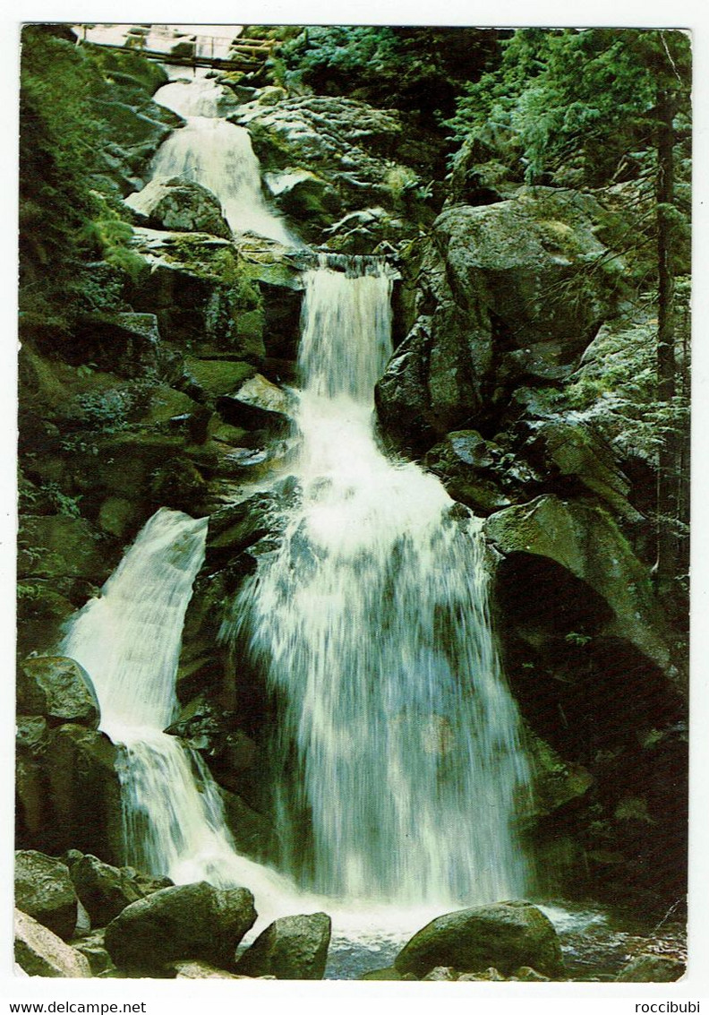 Deutschland, Triberger Wasserfälle - Triberg