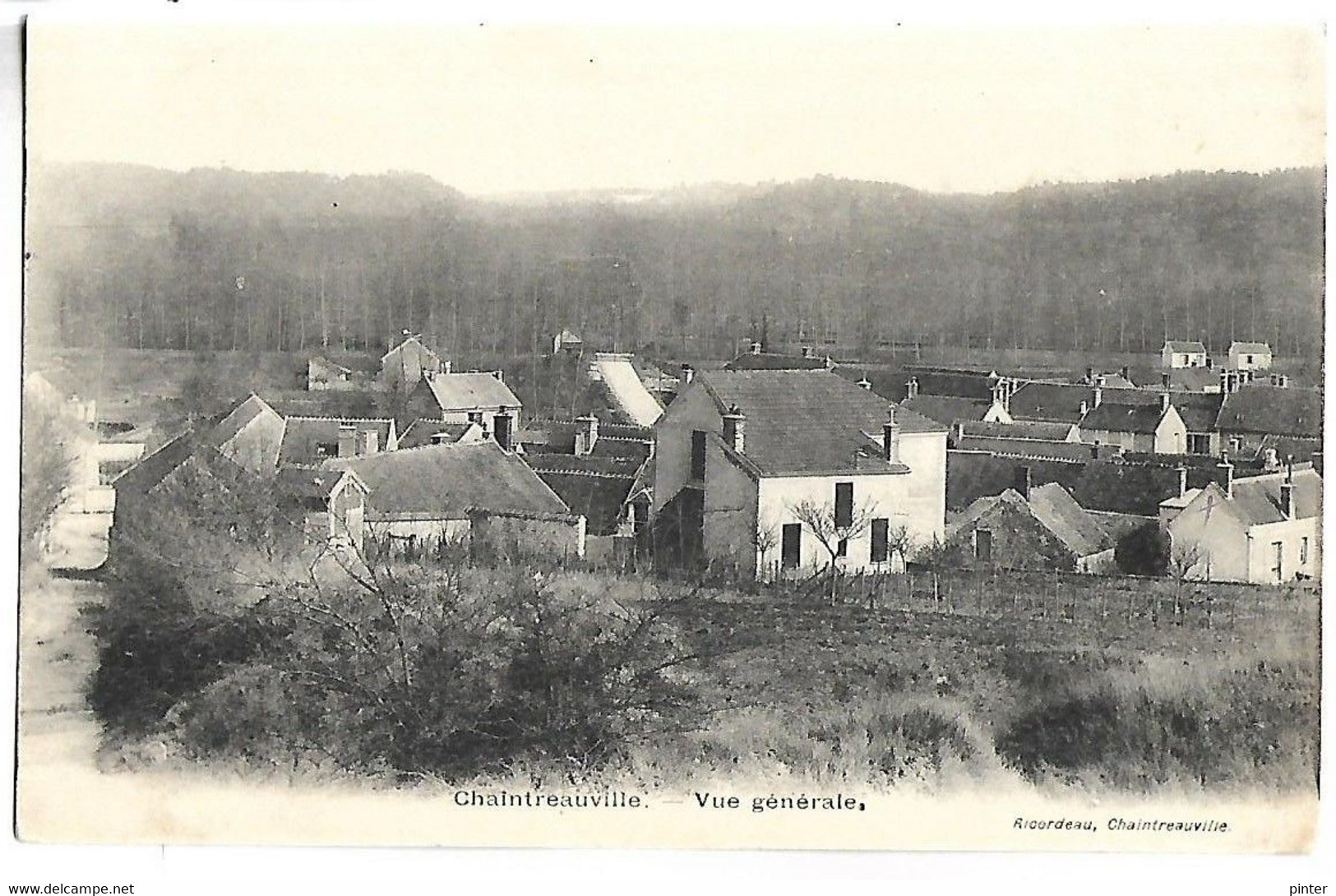 SAINT PIERRE LES NEMOURS - CHAINTREAUVILLE - La Vallée - Saint Pierre Les Nemours