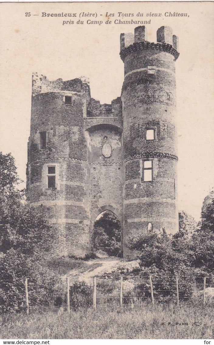 Isère : BRESSIEUX : Les Tours Du Vieux Château : - Bressieux