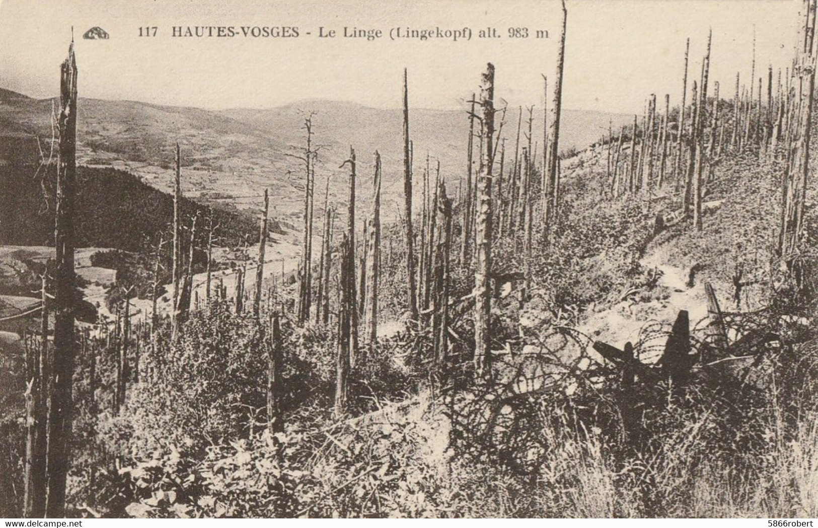 CARTE POSTALE ORIGINALE ANCIENNE : ORBEY LE LINGE LINGEKOPFHAUTE VOSGES HAUT RHIN (68) - Orbey