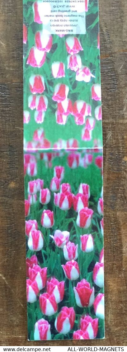 Tulip Magnetic Bookmark Book Marker And Greeting Card, Israel - Other Book Accessories