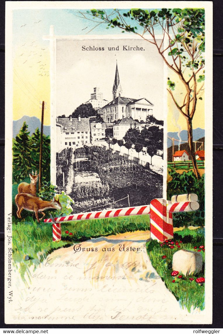 1903 Gelaufene Präge-AK, Schloss Und Kirche Uster. - Uster