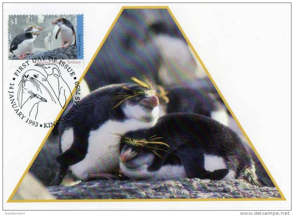 Australian Antarctic Territory 1993 $1 Royal Penguin Maximum Card - Maximumkarten