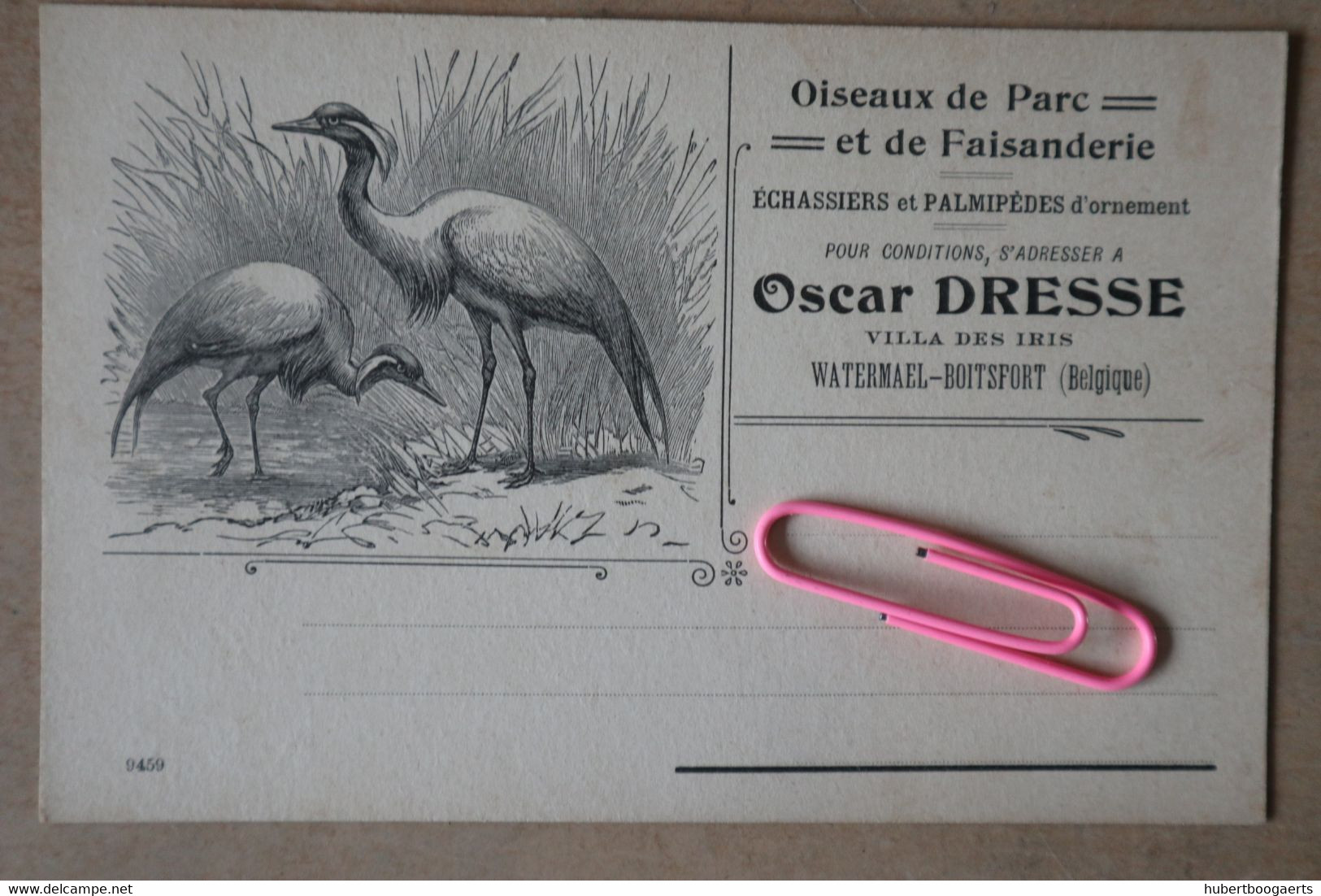 BOISTFORT : OSCAR DRESSE, Villa Des IRIS - Oiseaux De Parc Et De Faisanderie - Watermael-Boitsfort - Watermaal-Bosvoorde